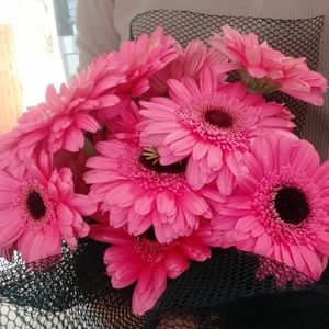 Meet your Posher, Yang